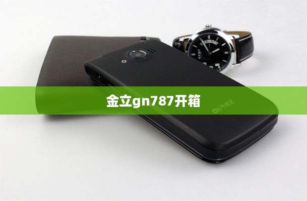 金立gn787开箱