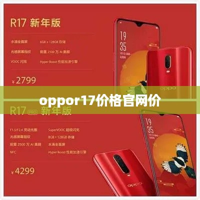 oppor17价格官网价  第1张