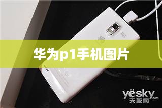 华为p1手机图片  第1张