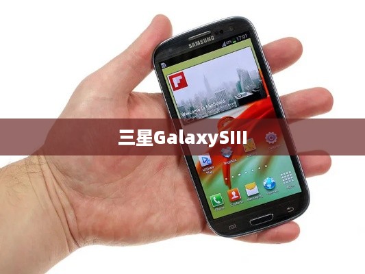 三星GalaxySIII  第1张
