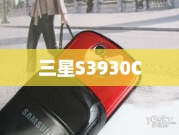 三星S3930C  第1张