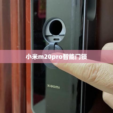 小米m20pro智能门锁