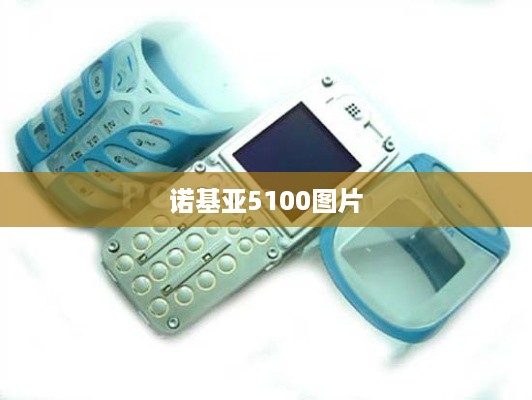诺基亚5100图片  第1张
