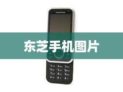 东芝手机图片  第1张