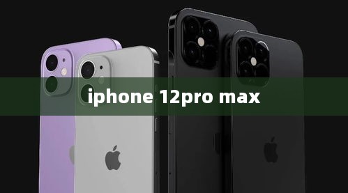iphone 12pro max