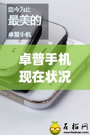卓普手机现在状况