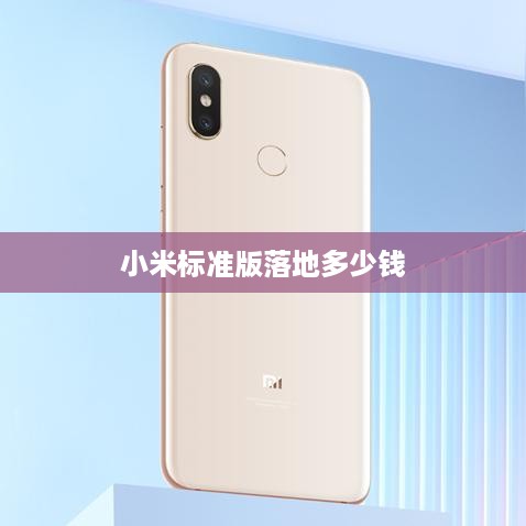 小米标准版落地多少钱  第1张
