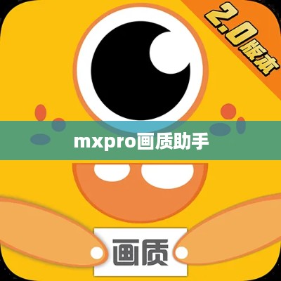 mxpro画质助手  第1张