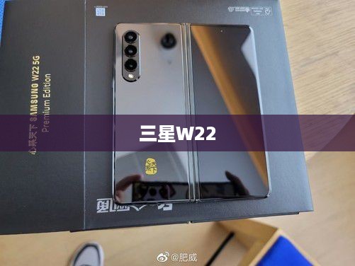 三星W22