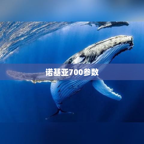 诺基亚700参数  第1张