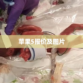 苹果5报价及图片  第1张