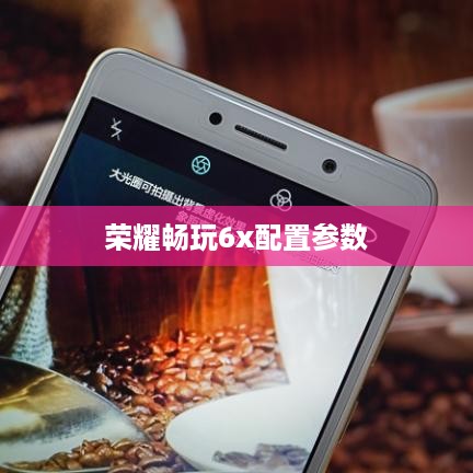 荣耀畅玩6x配置参数  第1张