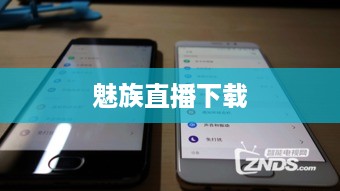 魅族直播下载  第1张
