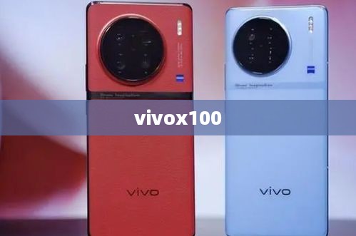 vivox100  第1张