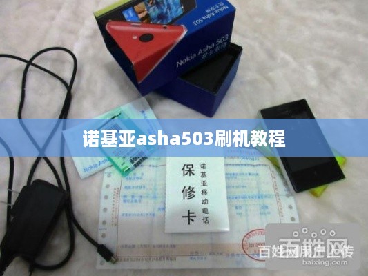 诺基亚asha503刷机教程  第1张