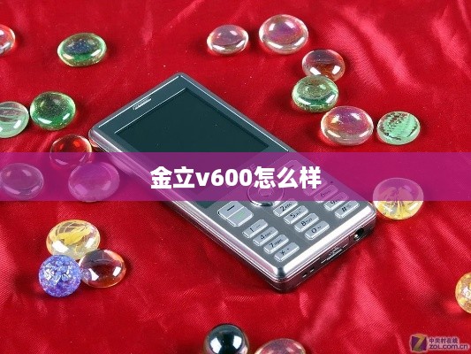 金立v600怎么样