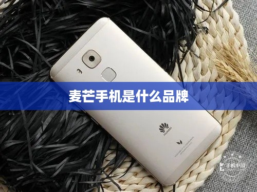 麦芒手机是什么品牌  第1张