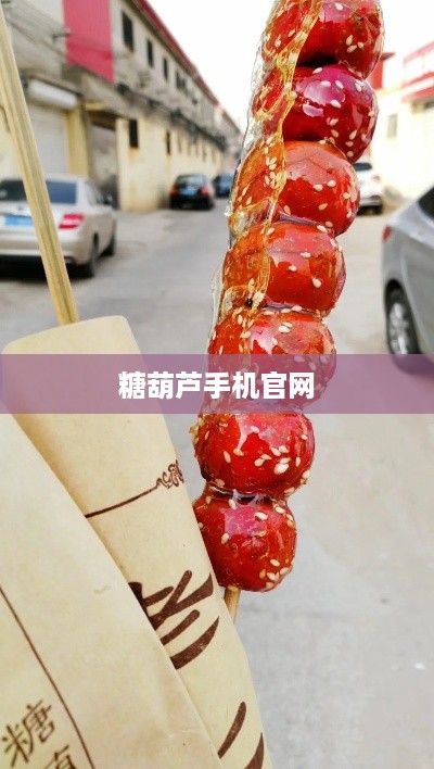 糖葫芦手机官网  第1张