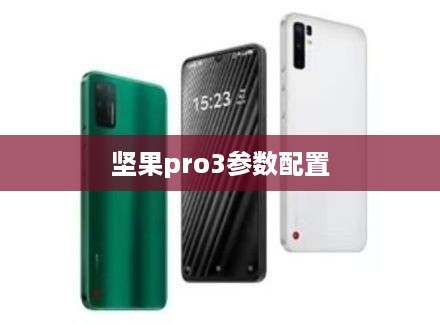 坚果pro3参数配置  第1张