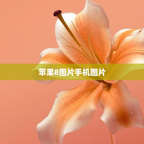 苹果8图片手机图片  第1张