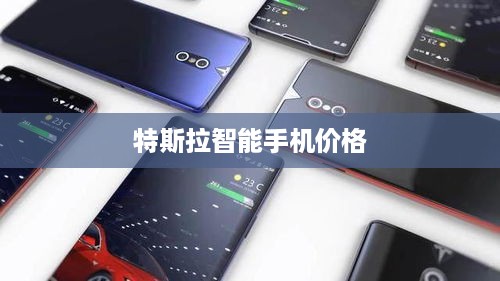 特斯拉智能手机价格  第1张