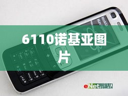 6110诺基亚图片