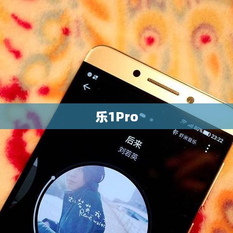 乐1Pro  第1张