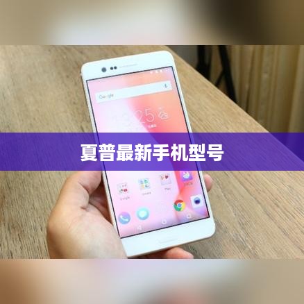 夏普最新手机型号