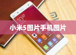 小米5图片手机图片