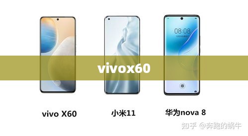 vivox60  第1张