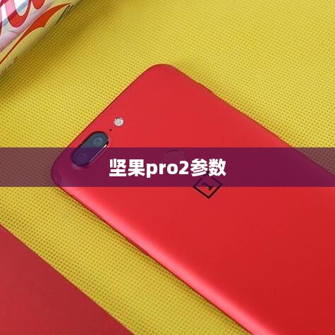 坚果pro2参数  第1张