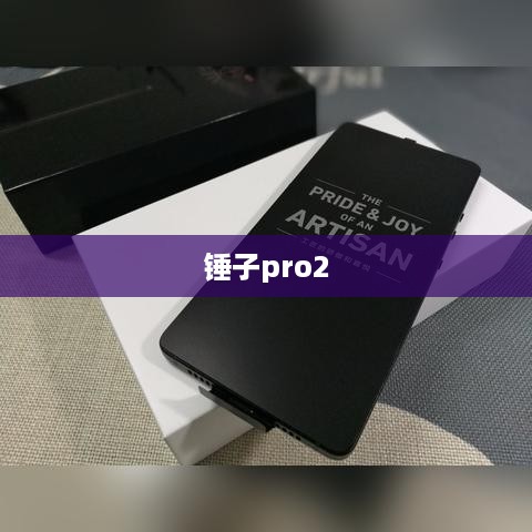 锤子pro2  第1张