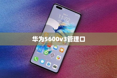 华为5600v3管理口  第1张