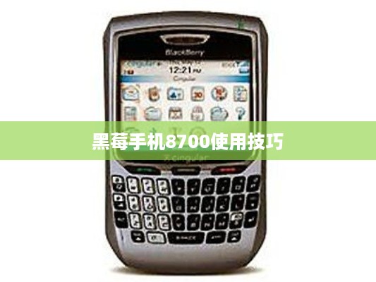黑莓手机8700使用技巧  第1张