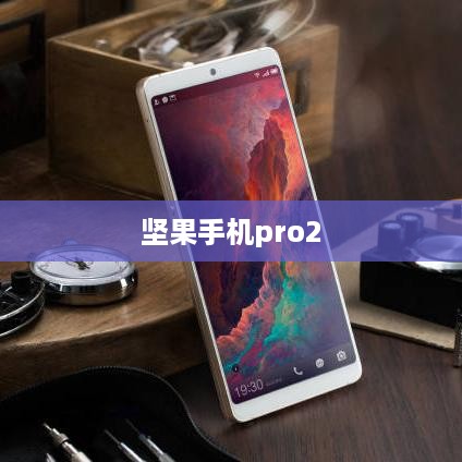 坚果手机pro2