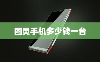 图灵手机多少钱一台