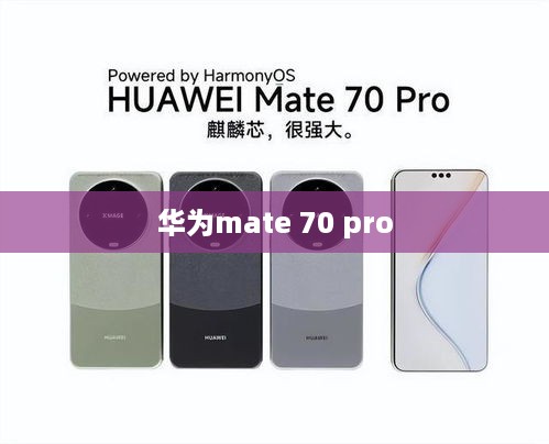 华为mate 70 pro