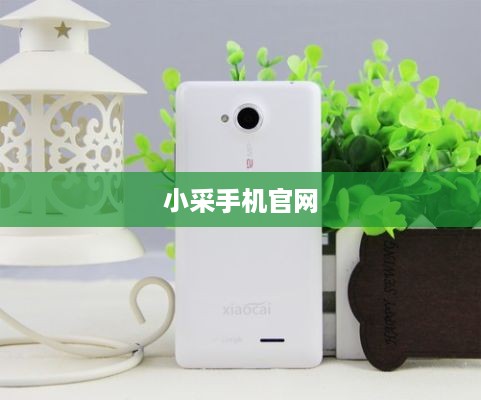 小采手机官网  第1张