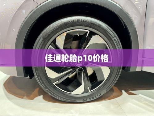 佳通轮胎p10价格  第1张