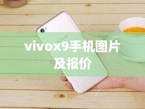 vivox9手机图片及报价  第1张