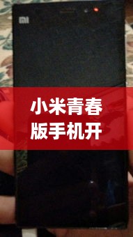 小米青春版手机开不了机怎么办一直黑屏  第1张