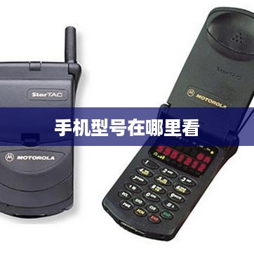 手机型号在哪里看  第1张