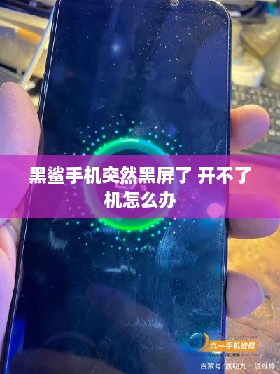 黑鲨手机突然黑屏了 开不了机怎么办  第1张