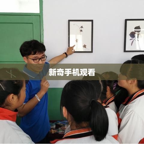 新奇手机观看  第1张