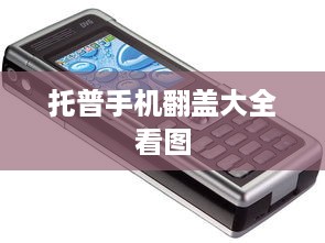 托普手机翻盖大全看图  第1张