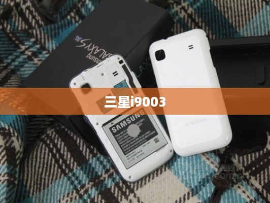 三星i9003