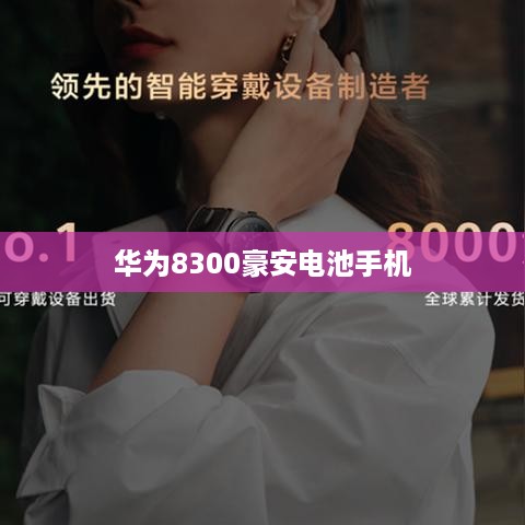 华为8300豪安电池手机  第1张