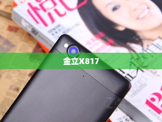 金立X817  第1张