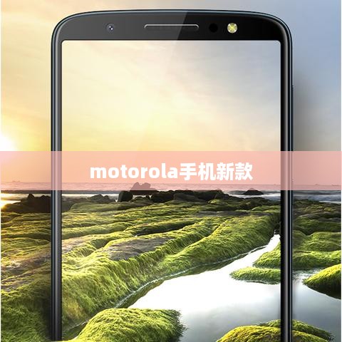 motorola手机新款