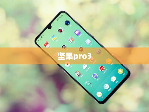 坚果pro3  第1张